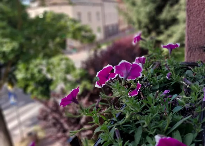 Jasne Mieszkanie Przy Jasnej Gorze ブィドゴシュチュ