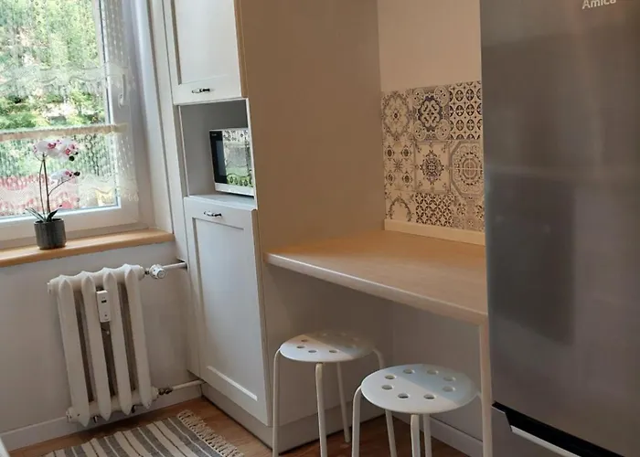 Jasne Mieszkanie Przy Jasnej Gorze アパート ブィドゴシュチュ